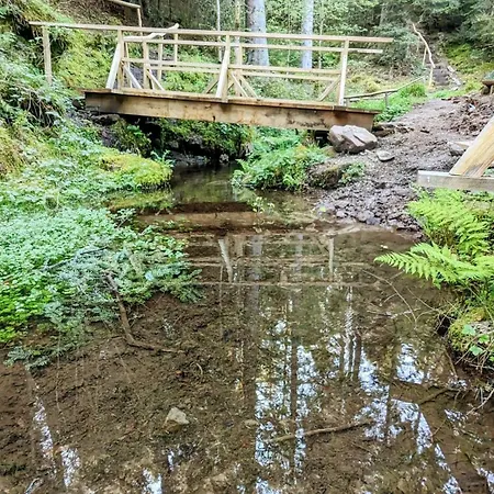 Appartement Blackforest Schömberg