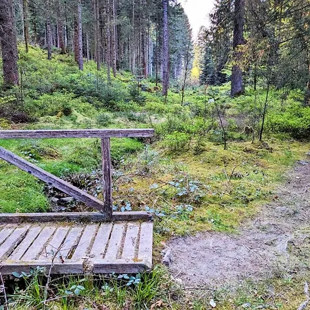 Blackforest Schömberg