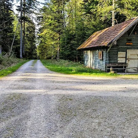 Blackforest Apartment Schömberg