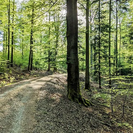 Appartamento Blackforest Schömberg