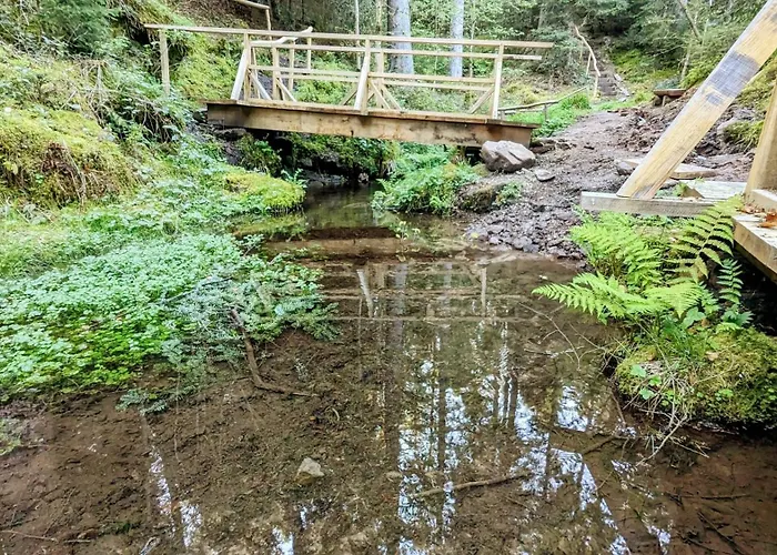 Apartman Blackforest Schömberg