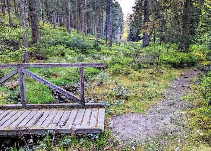 Blackforest Schömberg