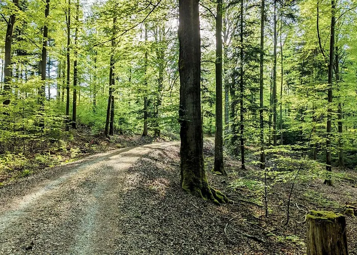 Lejlighed Blackforest Schömberg